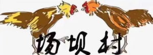 场坝村将军岩